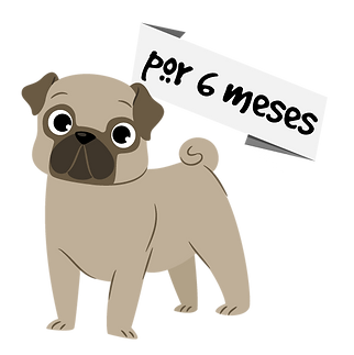 puggy_Mesa de trabajo 1.png