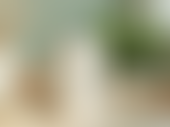 Innovative Packaging Solutions for Government Contracts