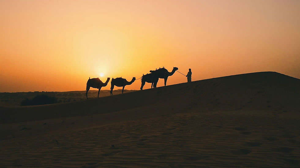 Al Maha Desert Resort & Spa 5*