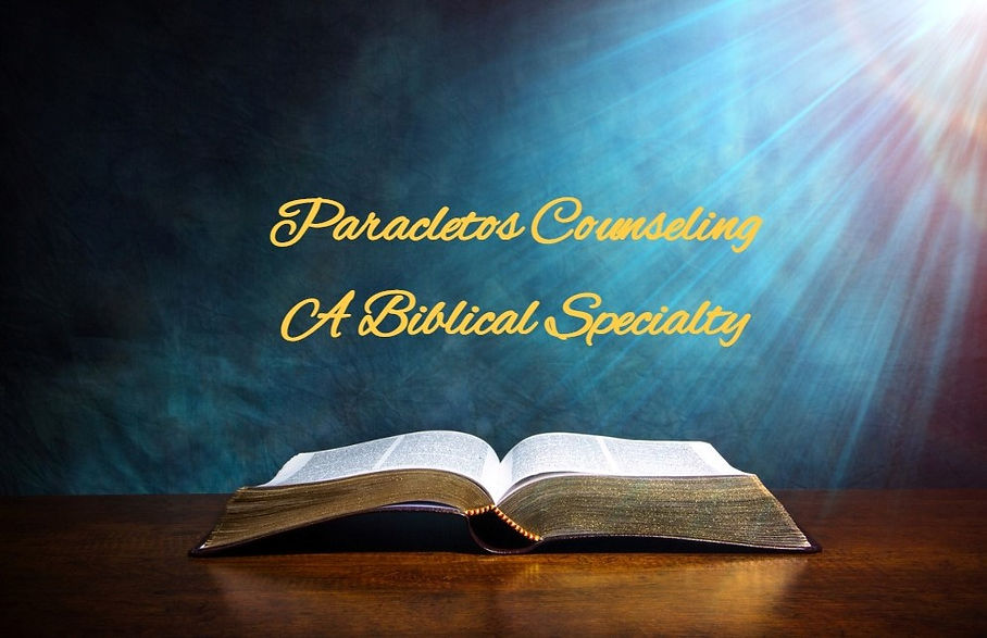 paracletos counseling book 2022.jpg