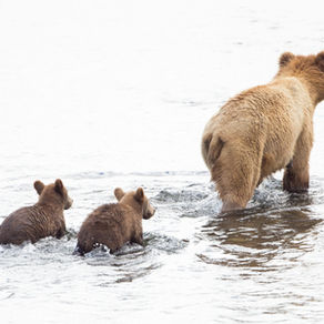 ONWA Celebrates the Origin of all Things, the Mother