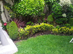IMG03770-20110717-1245