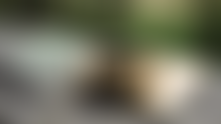 Experience God's Love: Live Stream and Donate Online