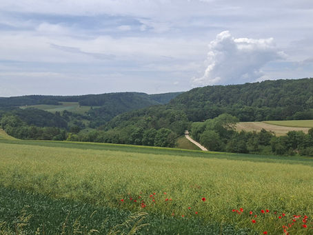 Stühlingen - Schaffhausen