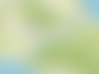 Camino de Costa Rica