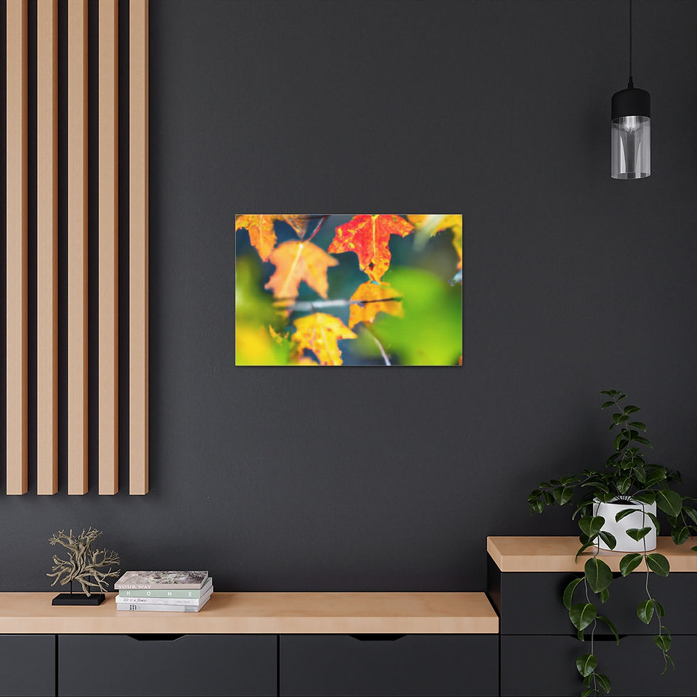 Thumbnail: Elizabeth Canvas - by Wonder Night Design 