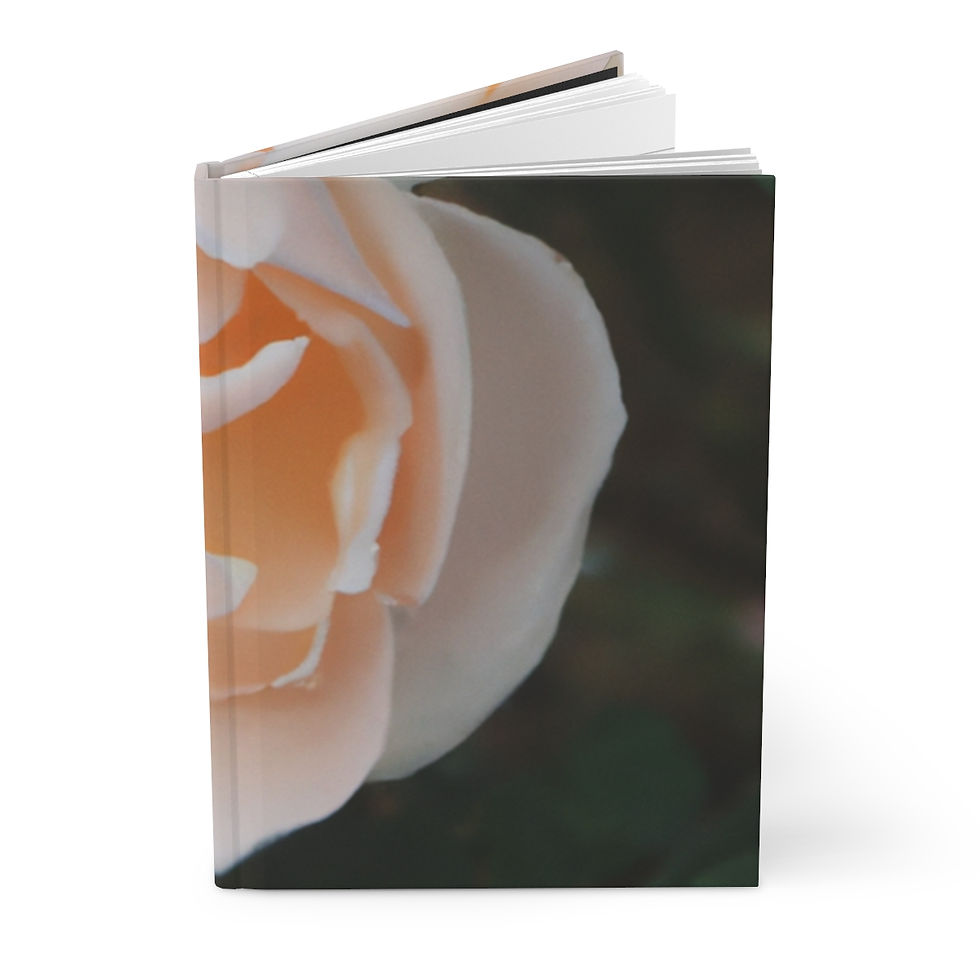 Thumbnail: Aurora's Journal - by Wonder Night Design 
