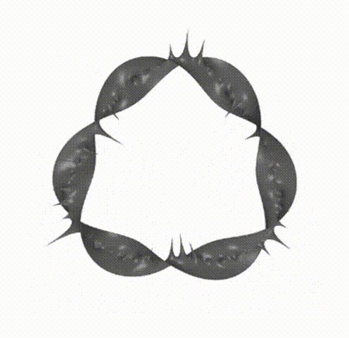 20211128_210619 00_00_10-00_00_21~1 00_00_00-00_00_30.gif
