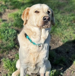 37386195_10216683895951391_8480361403524