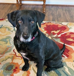 37386195_10216683895951391_8480361403524