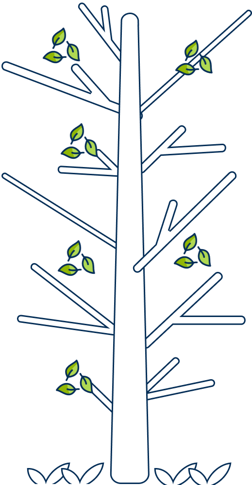 Group 48095471.png