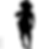 1000_F_321279612_DFt1SA8az8eylFDnpUkz9zyCf2JdMoXQ_edited.png