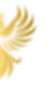 Untitled design (5).png