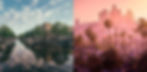 website-banner-2.jpg