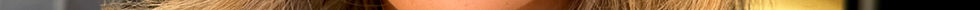 pexels-cottonbro-9836451 new 2.jpg