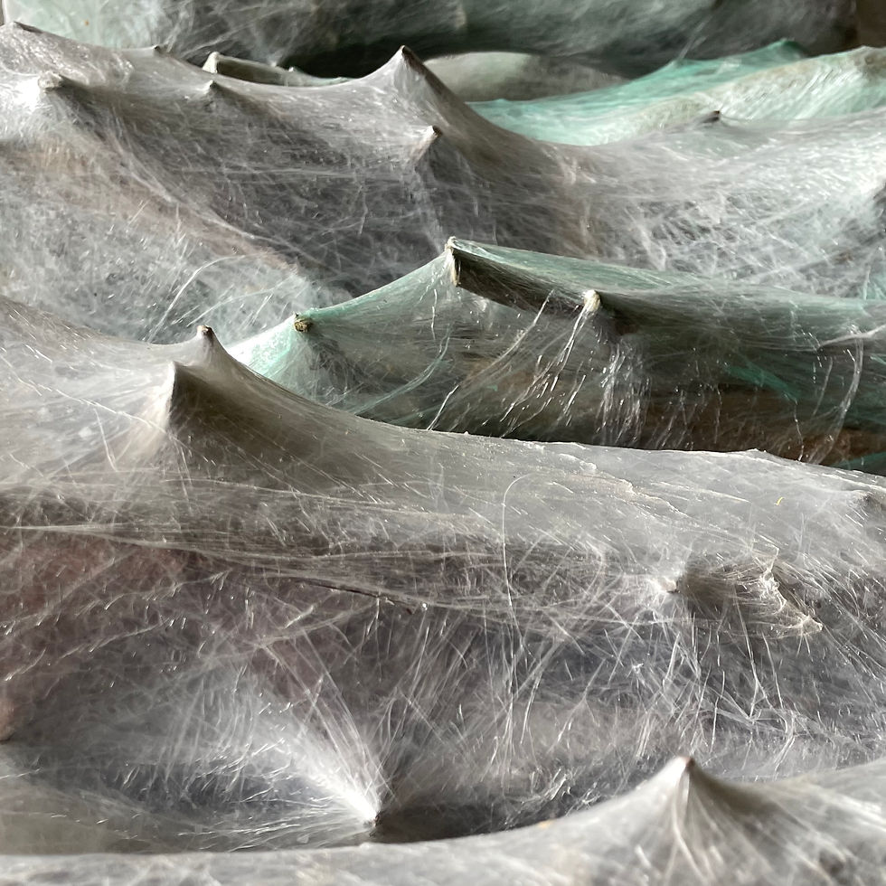 Barbara Thüler Hollenstein: Zukunfts-Gespinste (Detail)