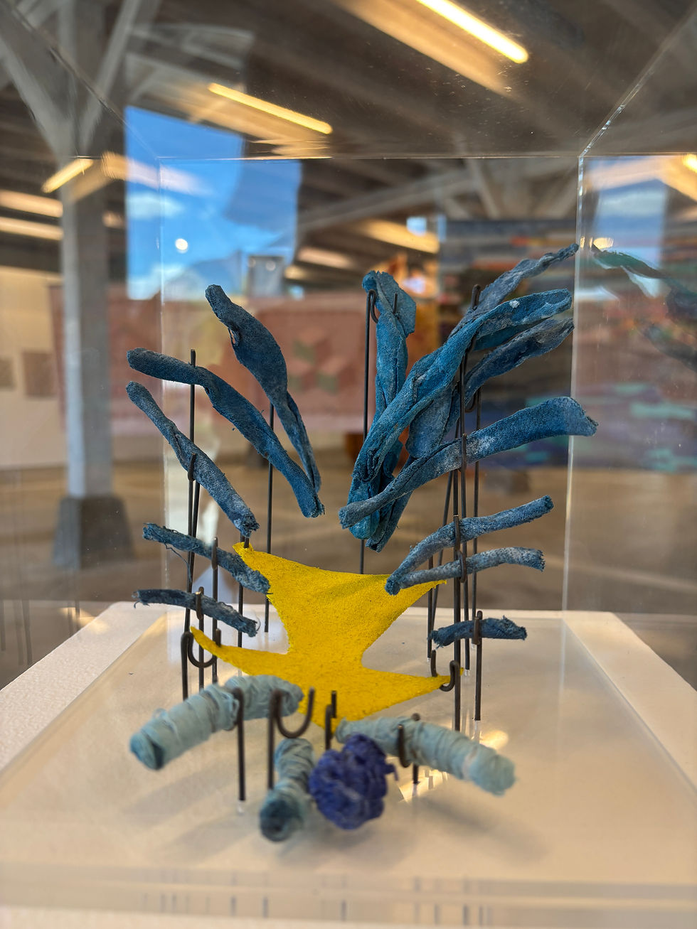 Erwin Gloor: Objekt P V. 1986, Draht, Stoff (mit Kleister versteift), Faden, Acrylglas. Sammlung Kunst(Zeug)Haus, Ankauf 1987