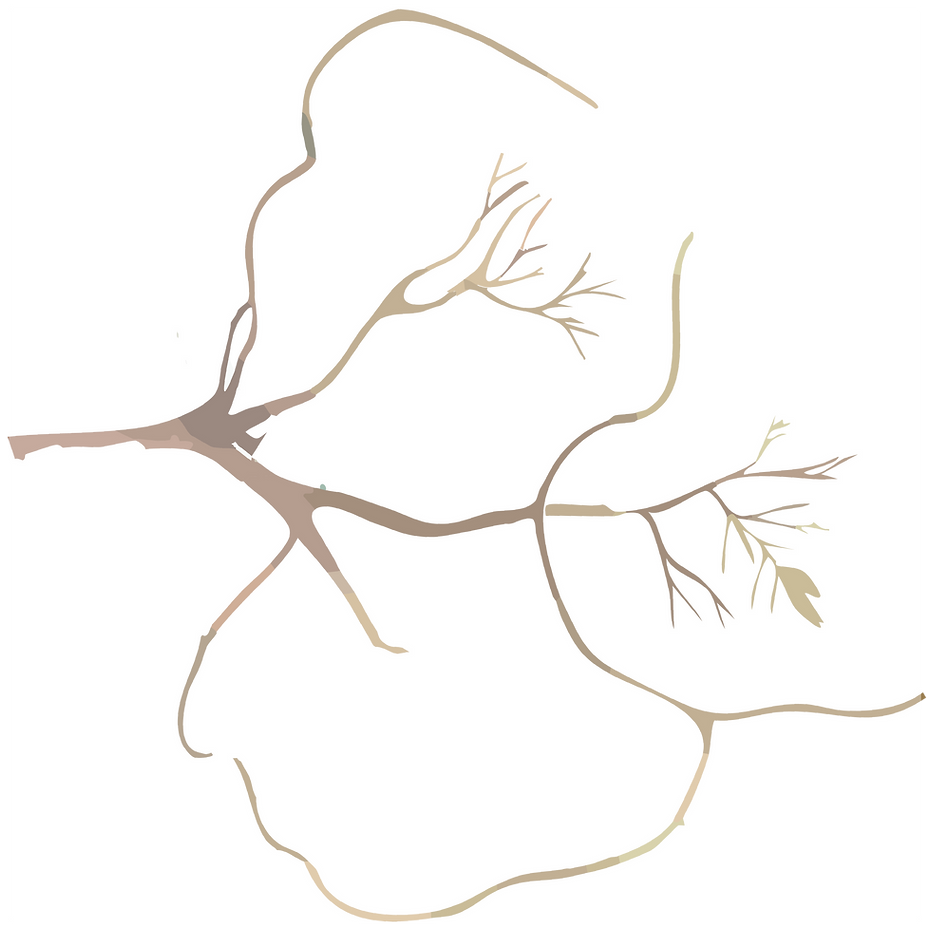 Background_work_page_branches_difuminado.png