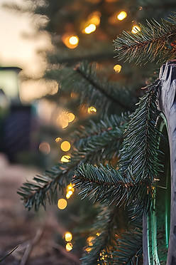 AdobeStock_941135457.jpeg