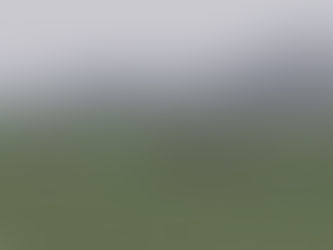 Nachhaltiges Management