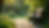 Eye-level view of a peaceful garden bench surrounded by greenery