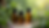 Eye-level view of essential oil bottles surrounded by herbs
