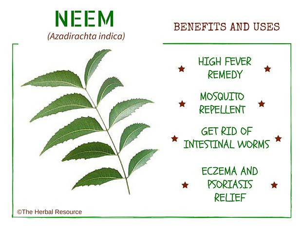 Thumbnail: Neem & Patchouli Soap