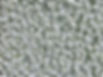 thumbnail_IMG_8952_edited.jpg