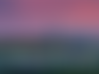 Toward a unified national market during China's 15th Five-Year Plan period