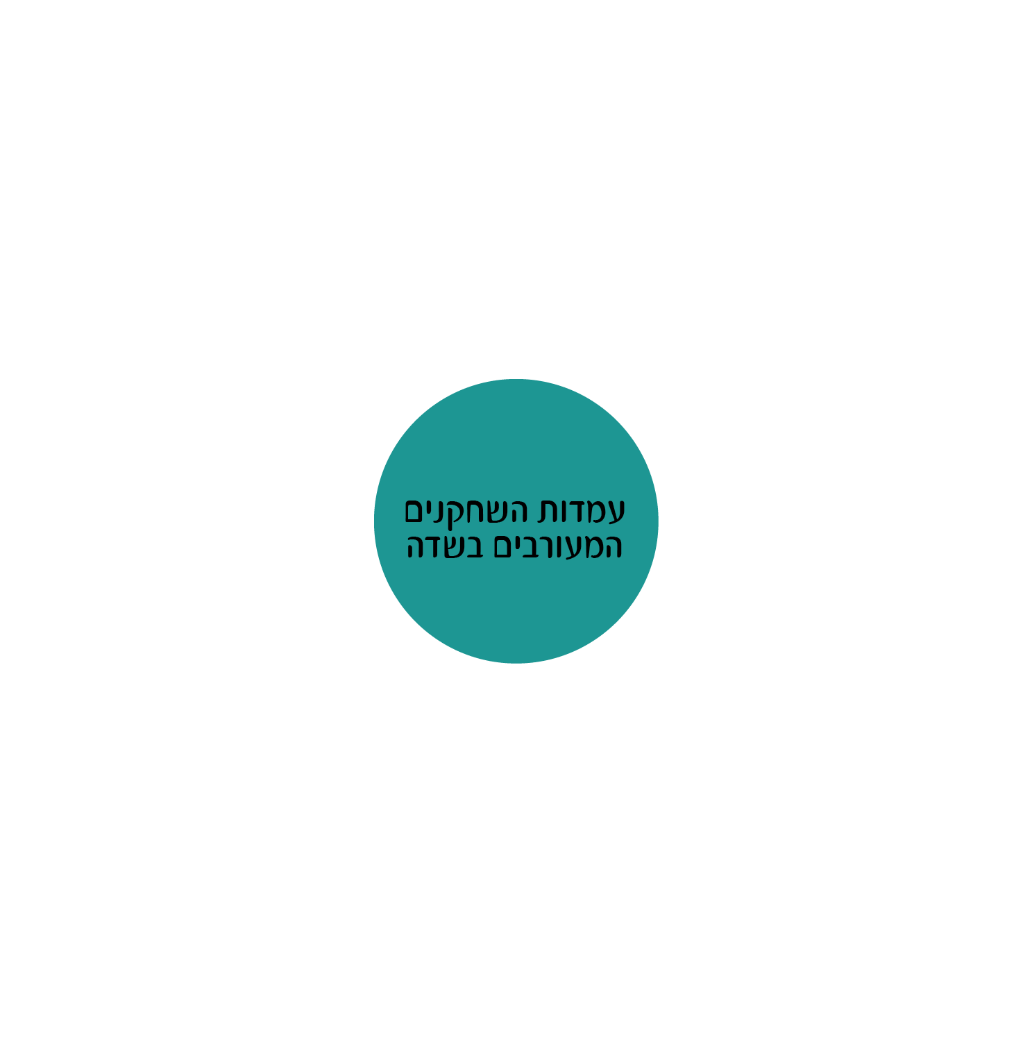 חדש.gif