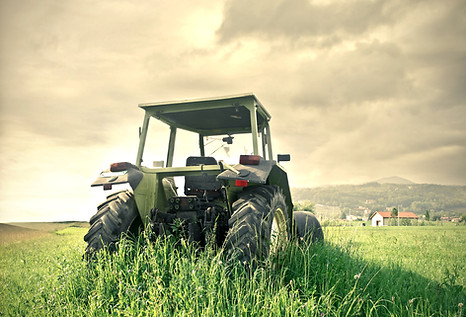 Fotolia_53503659_M.jpg