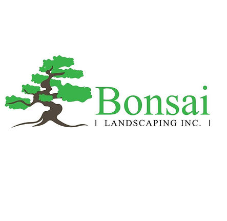 bonasi Logo.jpg