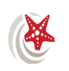 Trident Rentals Starfish