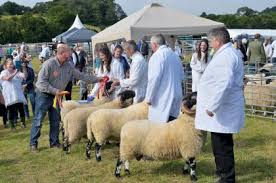 Dartmoor County Shows 2025