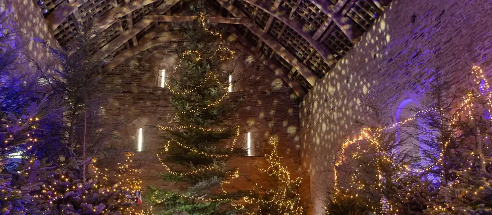 A Dartmoor Christmas: Magical Places to Visit During Your Stay at Lydgate House