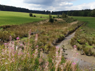 Waarom de Oostkantons het ultieme fietsparadijs zijn voor natuurliefhebbers