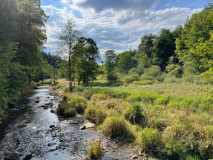 Top 10 Wandelroutes Rond Ardenia Deze Favorieten Van Gasten
