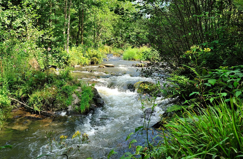 Ontdek de mooiste wandelroutes vanuit Ardenia Eco Lodges