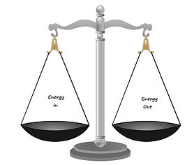 scales-147219_960_720_edited.jpg