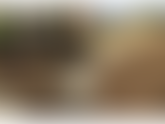 Arakkha People's Revolutionary Government Repairing and Upgrading Deteriorated Inter-Town and Inter-Village Roads in Sittwe District