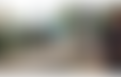 ALP members led by Daw Saw Mya Raza Lin are being sent to the Sittwe frontline