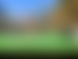 What Arakan Army Has Achieved in 2025?