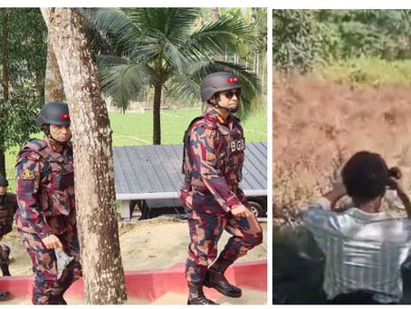 Border Guard Bangladesh Robbed 8 Cattle Owned by Arakanese Traders, Violating Arakan's Territory 