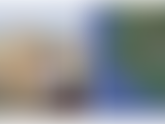 Bangladesh Cultural Diversity Council Demands Action on the Destruction of the Rakhine People's Cremation Wall in Bangladesh