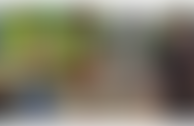 Two IDP Women in Sittwe Arrested by Arakan Liberation Party (ALP) Forces