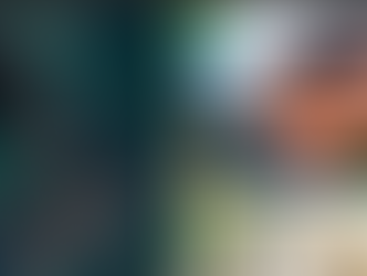 ARSA Terrorist Group Attacks Civilians with Mine in Maungdaw, One Civilian Injured