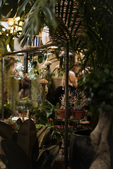 Interior of houseplant shop