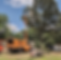 Sherwood Forest Tree Service, Athens, GA