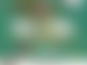 Aguascalientes// La chispa del arte encendió en el pueblo