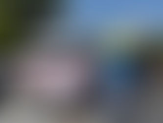 Protestan por apoyos alimentarios en Aramberri, Nuevo León.